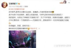 李华皮肤爆料视频最新版,揭秘最新版游戏角色造型与技能